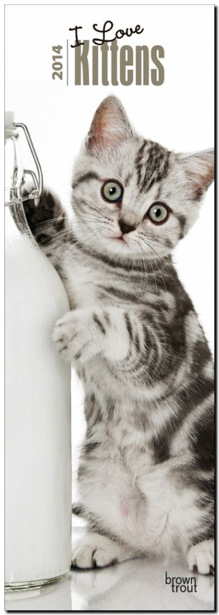 I love Kittens 2014 - Ich liebe Kätzchen: Original BrownTrout-Kalender - Slimline (Slimline-Kalender) Pets