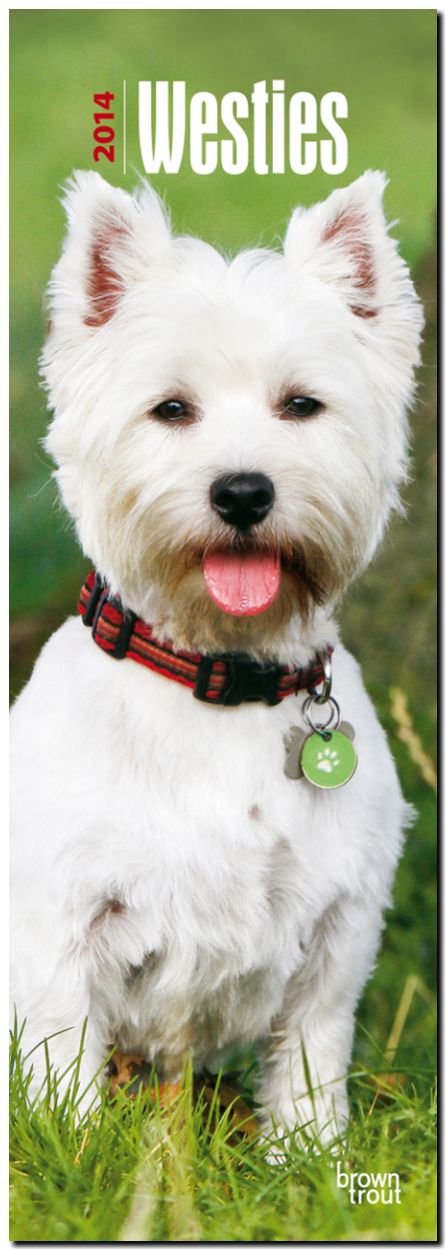 West Highland White Terriers 2014 - Westies: Original BrownTrout-Kalender - Slimline (Slimline-Kalender) Pets