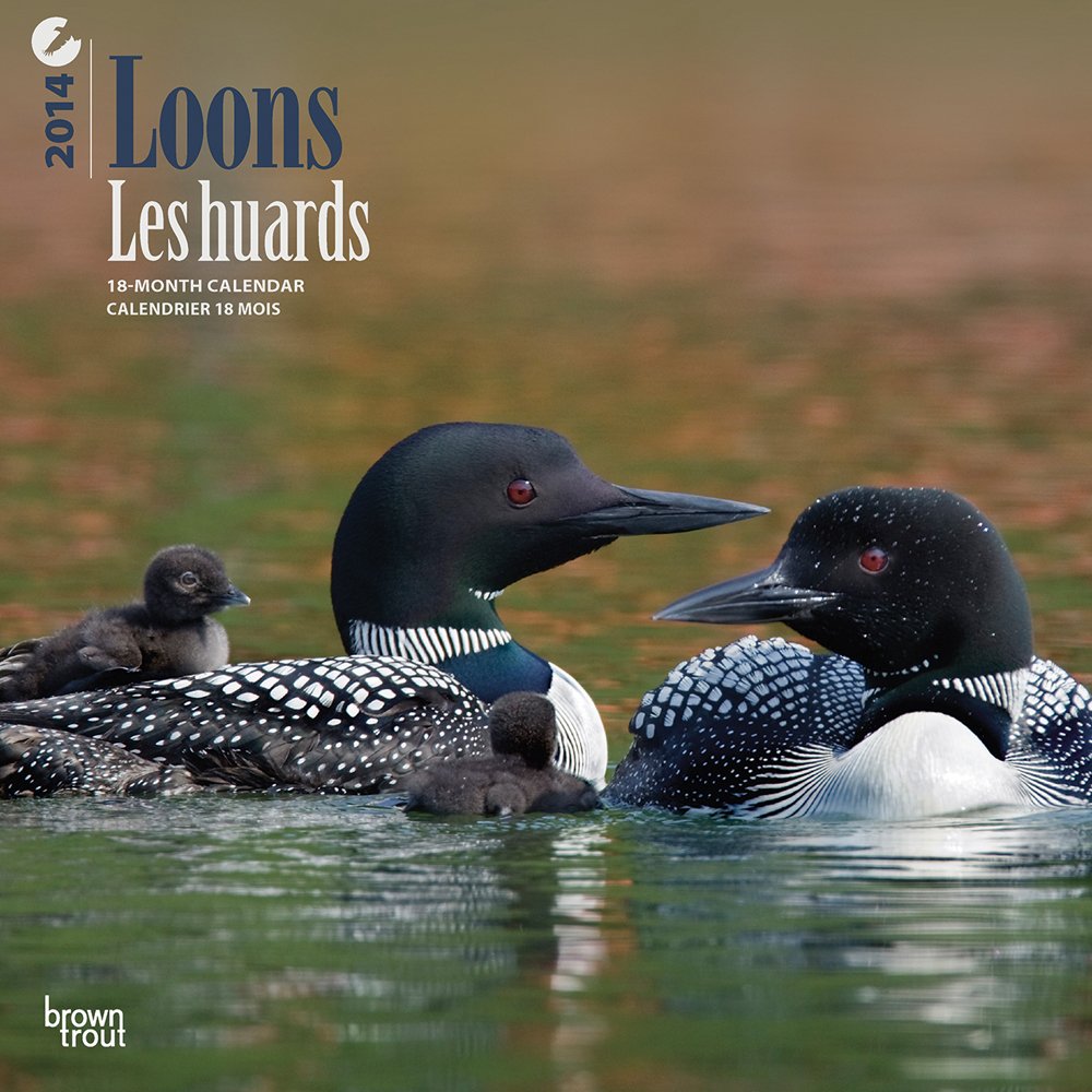Loons / Les Huards 2014 Calendar Books