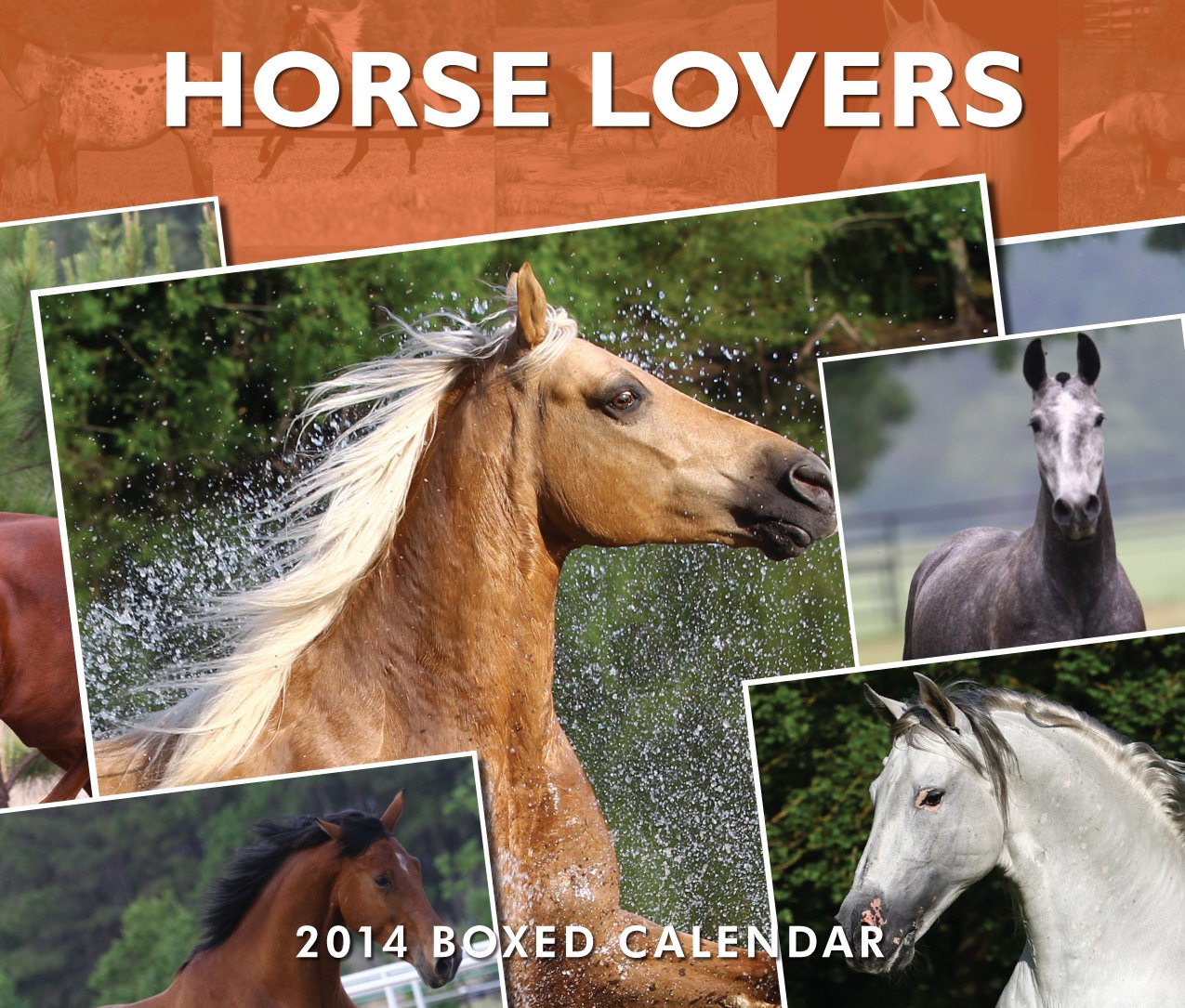 Horse Lovers 2014 Calendar Books