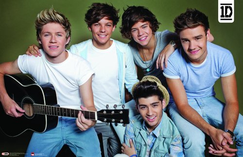 One Direction 2014 Group Guitar Horizontal Poster 34x22 by Browntrout Publishers (2013-08-01) Books