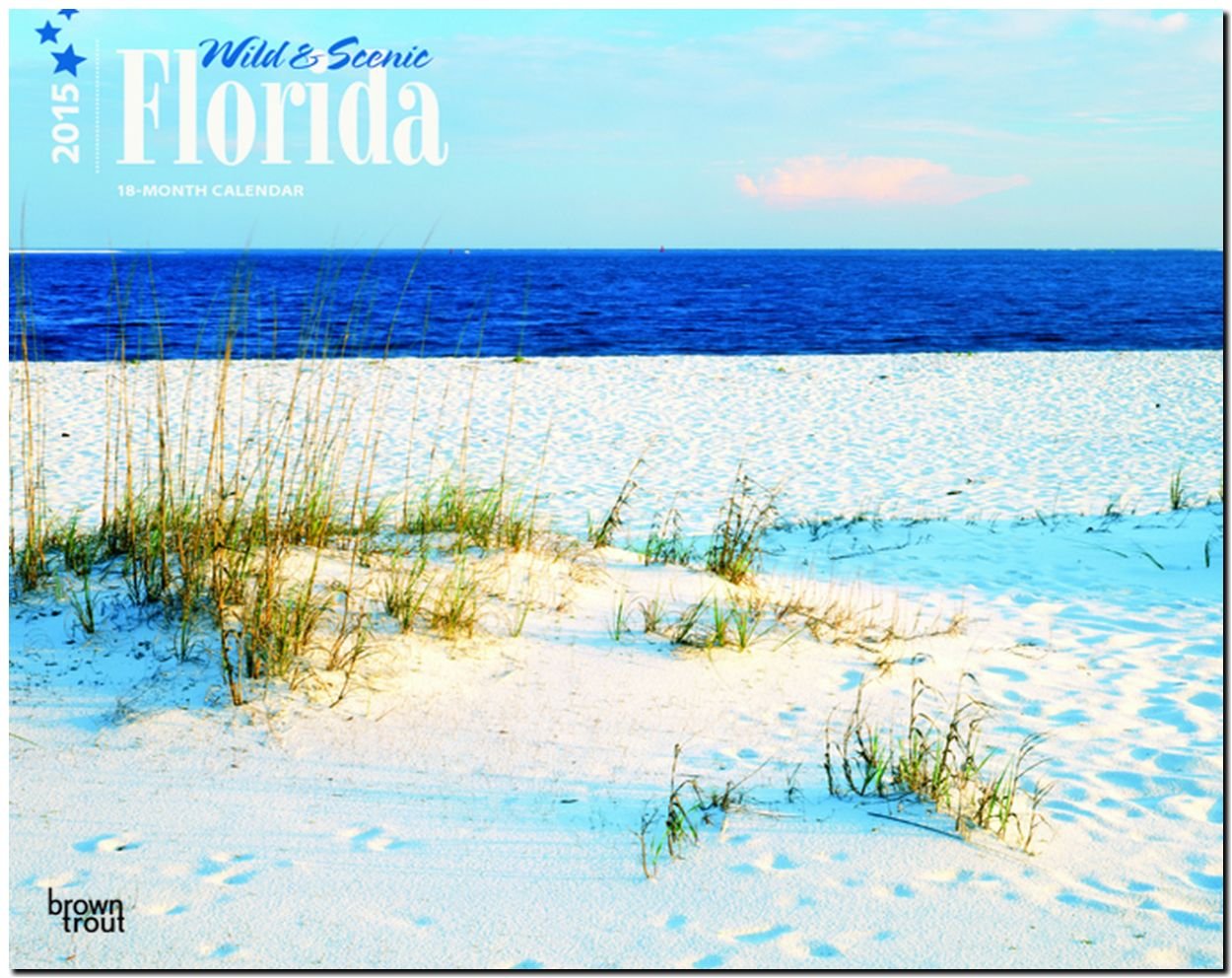 Florida 2015 - Wild & Scenic: Original BrownTrout-Kalender - Deluxe (Deluxe-Kalender) Leisure, Home & Garden