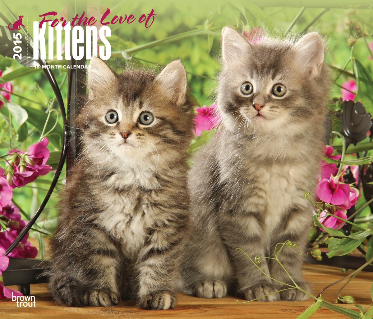 For the Love of Kittens 2015 Calendar Pets