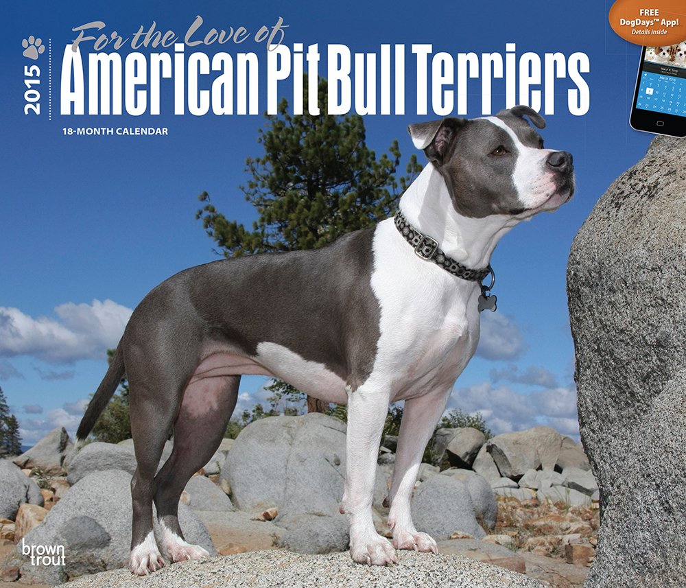 For the Love of American Pit Bull Terriers 2015 Calendar Pets
