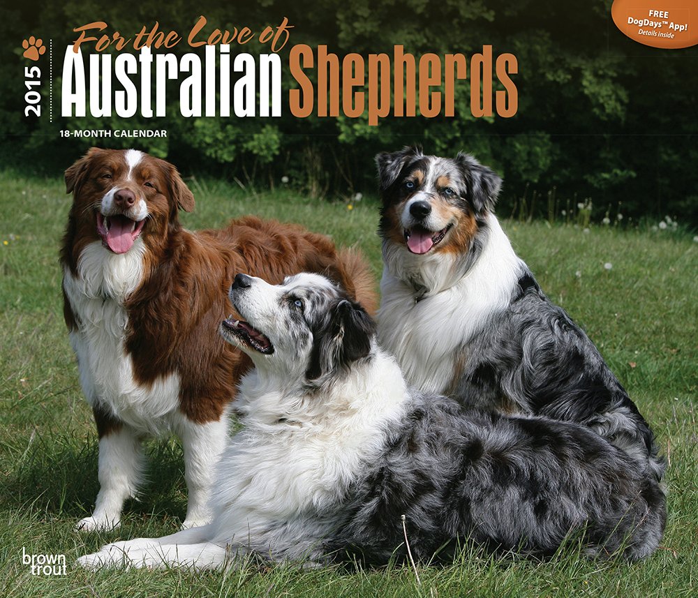 For the Love of Australian Shepherds 2015 18-Month Calendar Pets