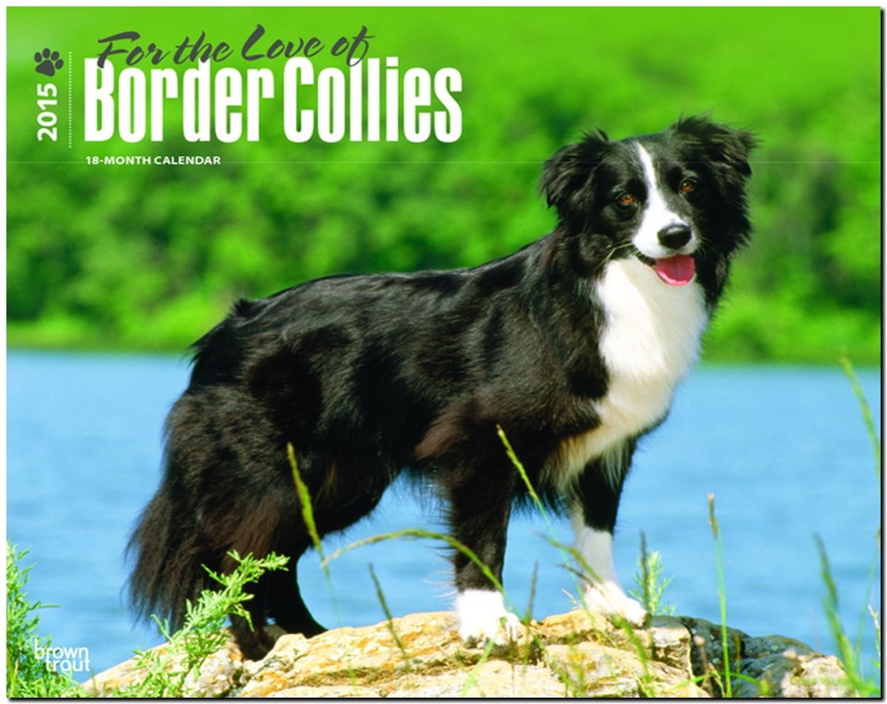 Border Collies - For the Love of 2015: Original BrownTrout-Kalender - Deluxe (Deluxe-Kalender) Pets