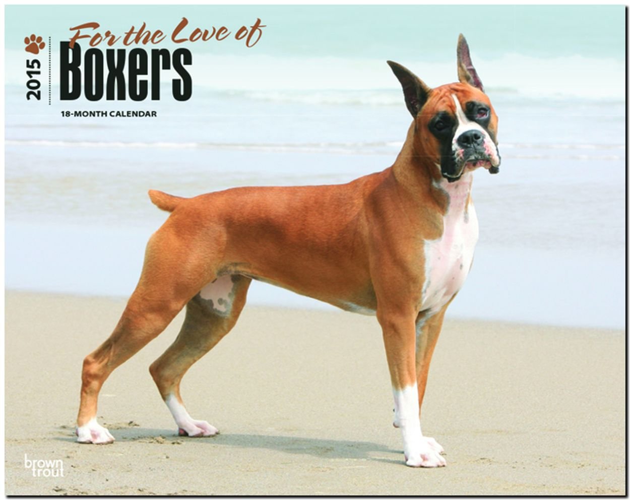 Boxers - For the Love of 2015 - Boxer: Original BrownTrout-Kalender - Deluxe (Deluxe-Kalender) Pets
