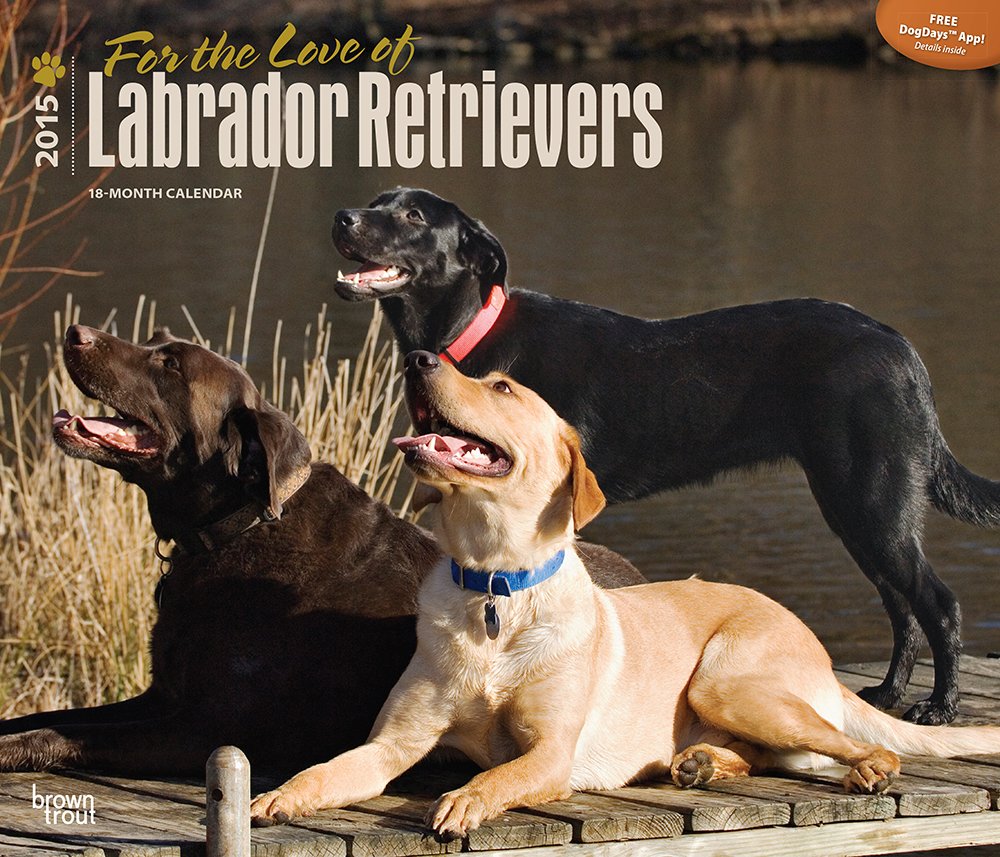 Labrador Retriever 2015 – For the Love of: Original BrownTrout-Kalender - Deluxe (Deluxe-Kalender) Pets