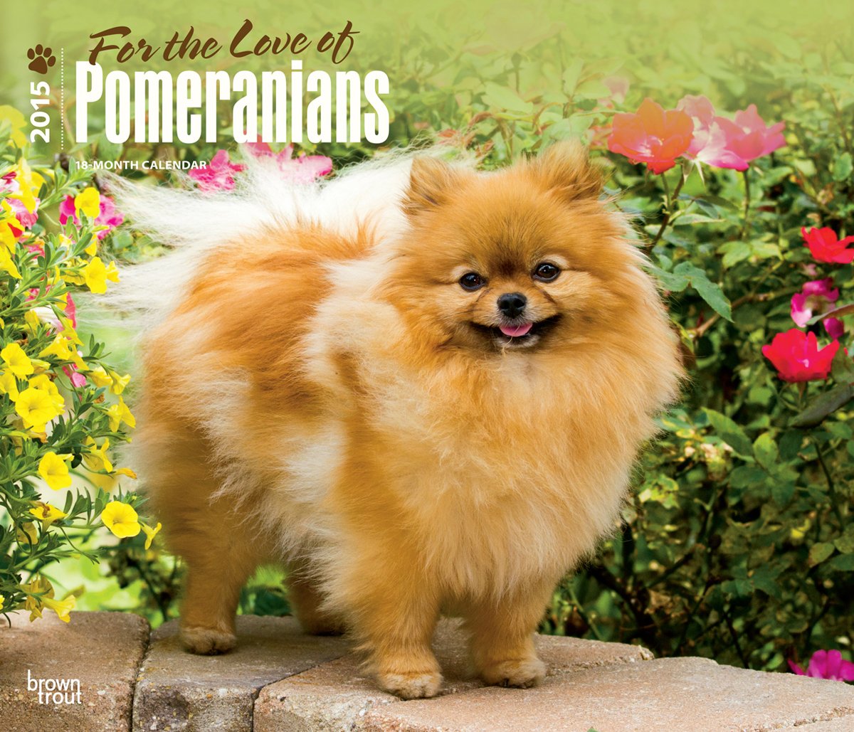 For the Love of Pomeranians 2015 Calendar Pets