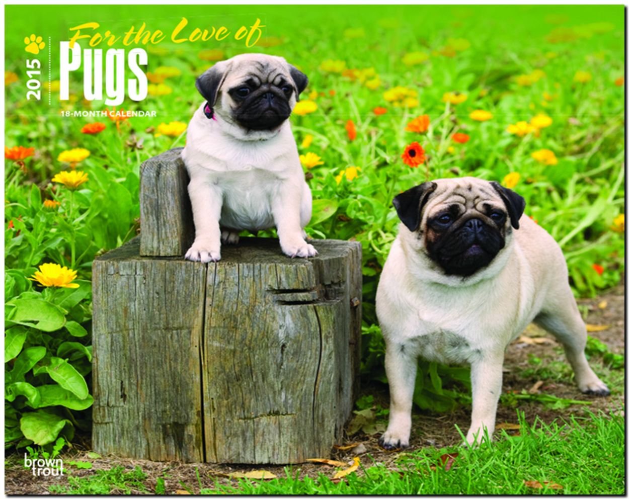 Pugs – For the Love of 2015 - Möpse: Original BrownTrout-Kalender - Deluxe (Deluxe-Kalender) Pets
