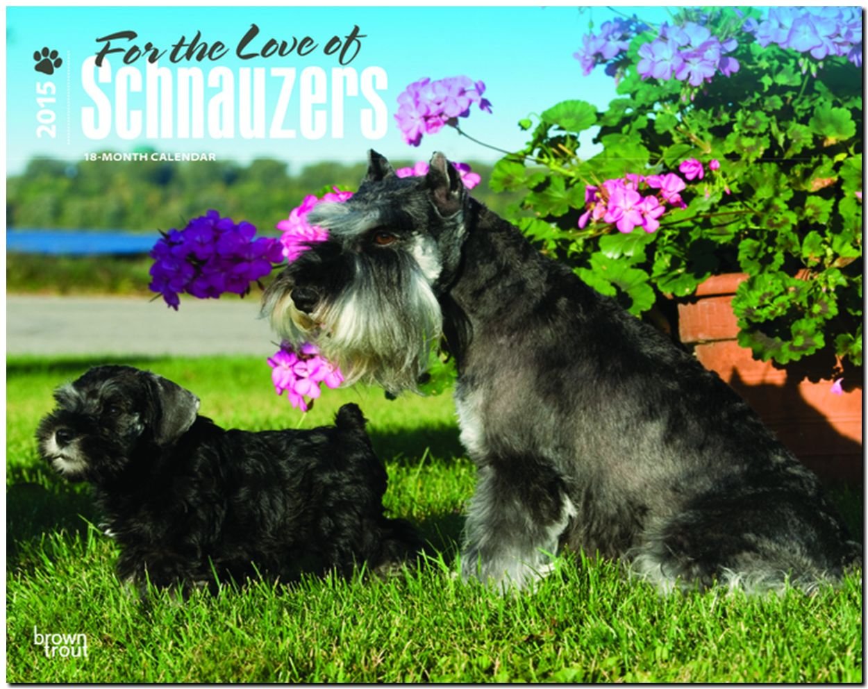 Schnauzers - For the Love of 2015 - Schnauzer: Original BrownTrout-Kalender - Deluxe (Deluxe-Kalender) Pets
