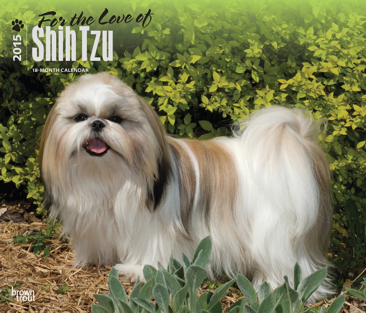 For the Love of Shih Tzu 2015 Calendar Pets