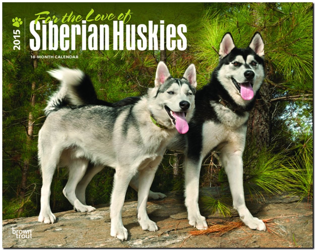 Siberian Huskies – For the love of 2015 - Sibirische Huskies: Original BrownTrout-Kalender - Deluxe (Deluxe-Kalender) Pets