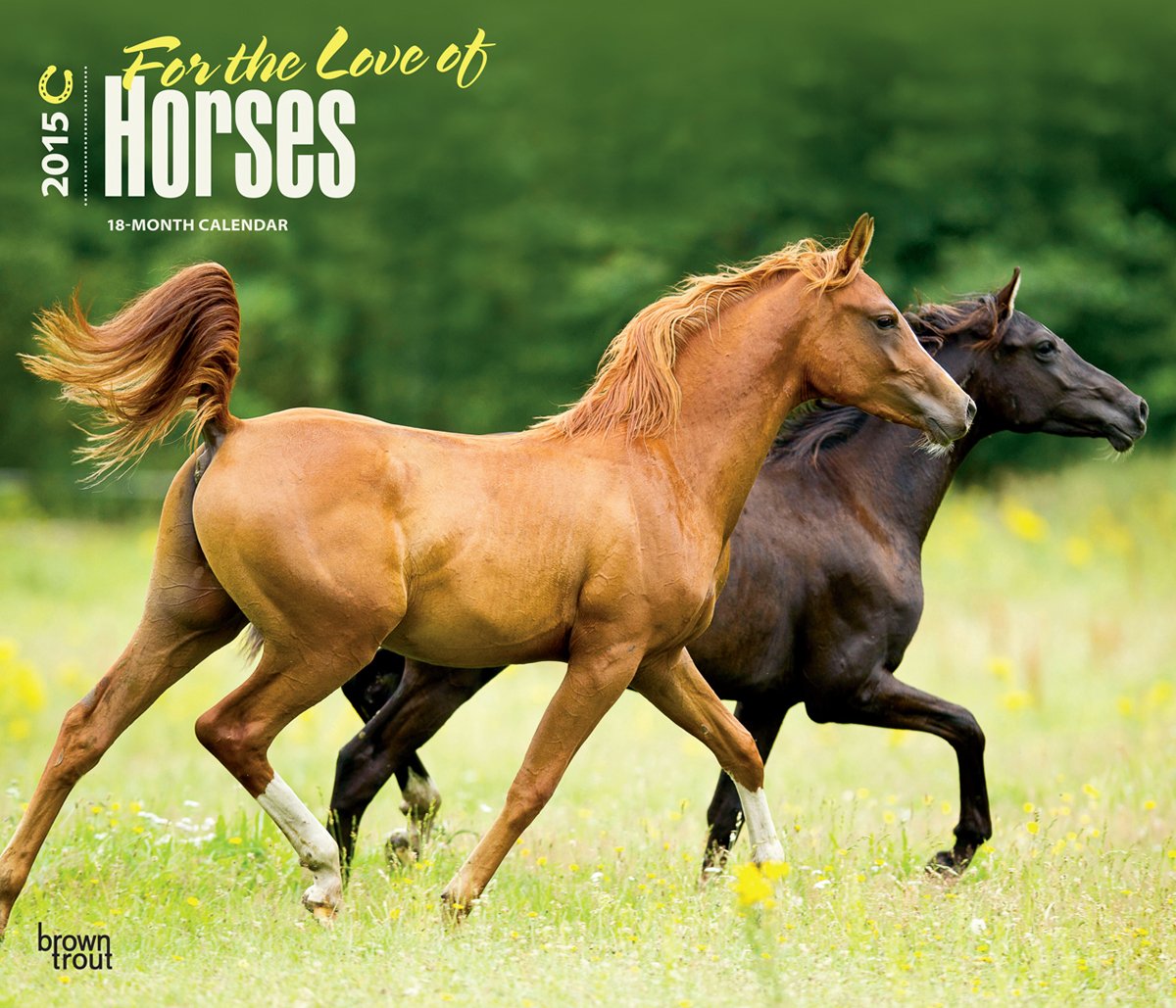 For the Love of Horses 2015 Calendar Pets