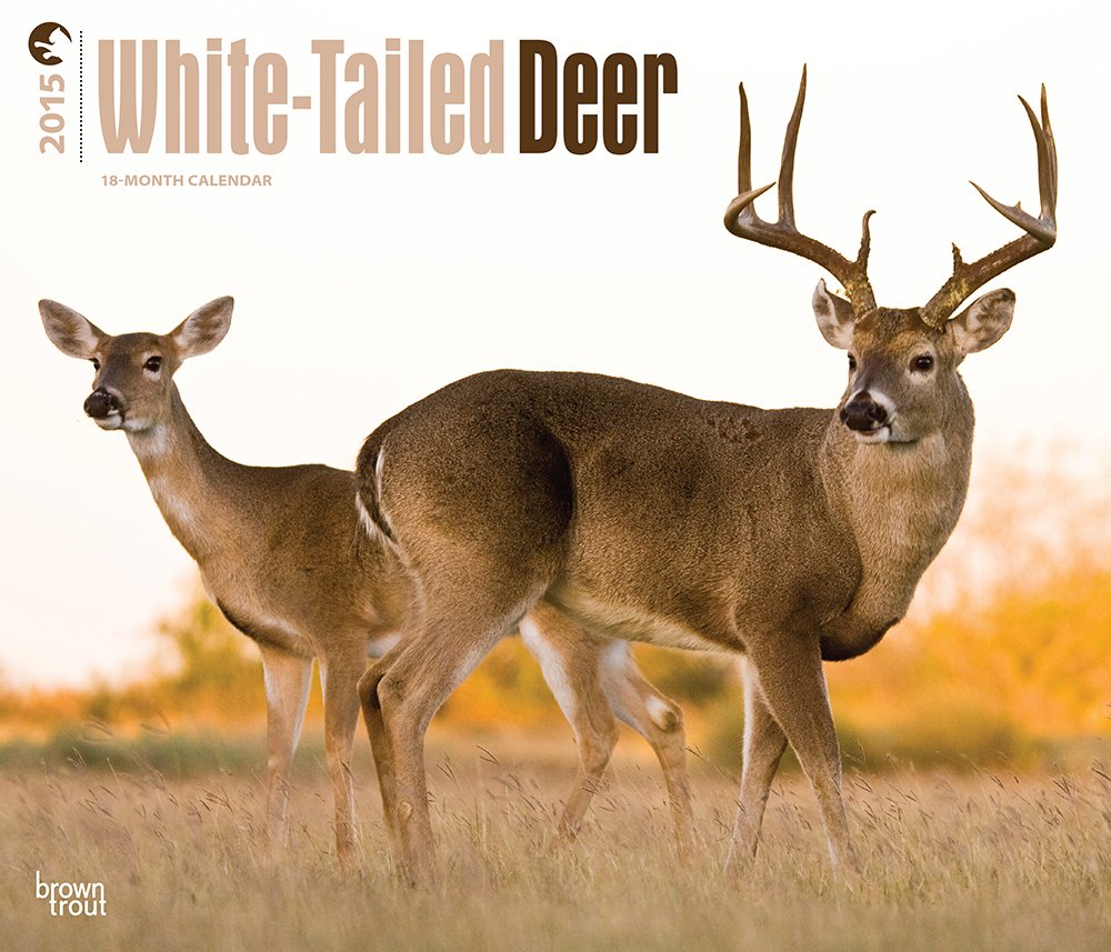 White-Tailed Deer 2015 Calendar Mathematics