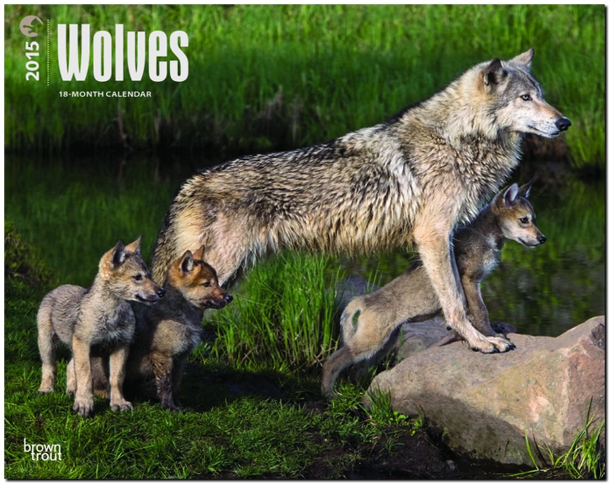 Wolves 2015 - Wölfe: Original BrownTrout-Kalender - Deluxe (Deluxe-Kalender) Leisure, Home & Garden