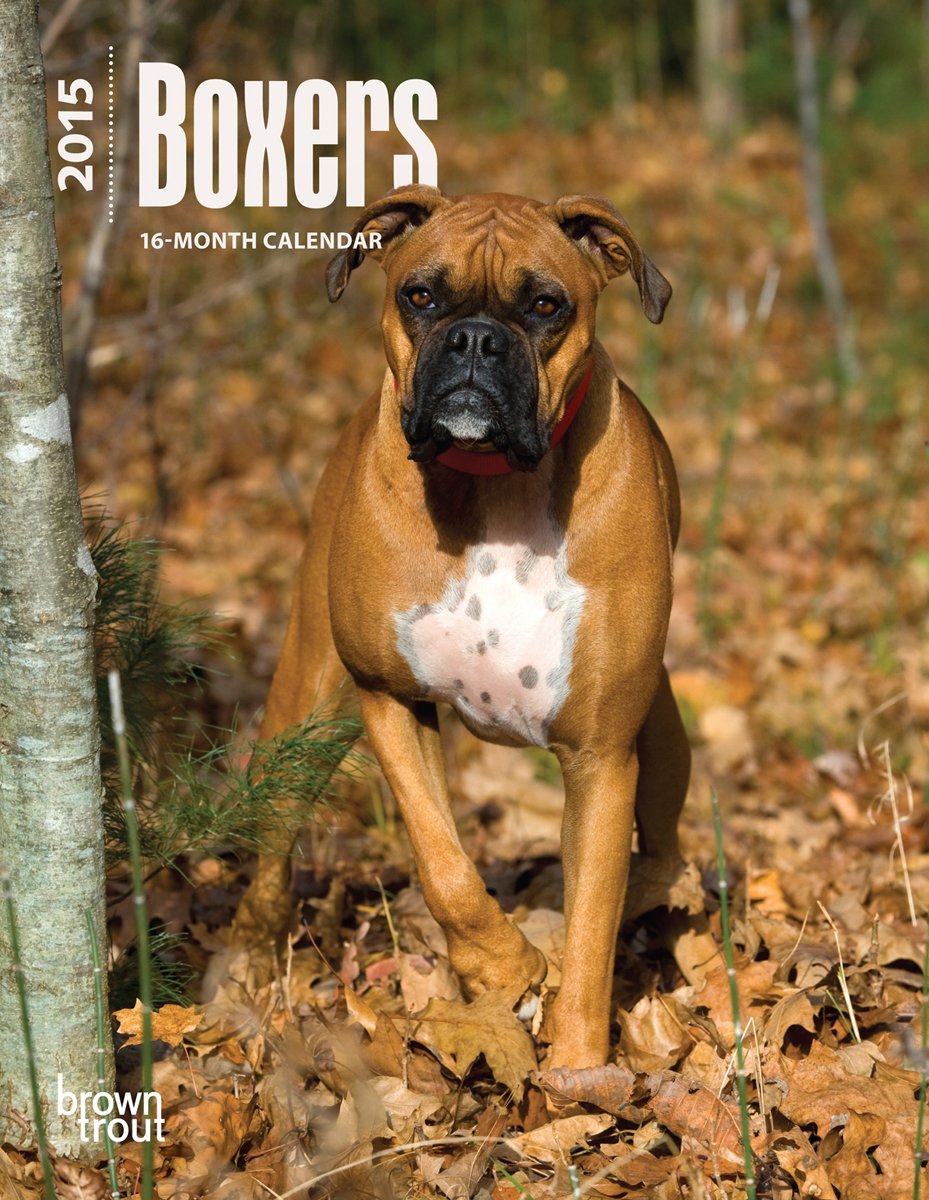 Boxers 2015 Calendar Pets