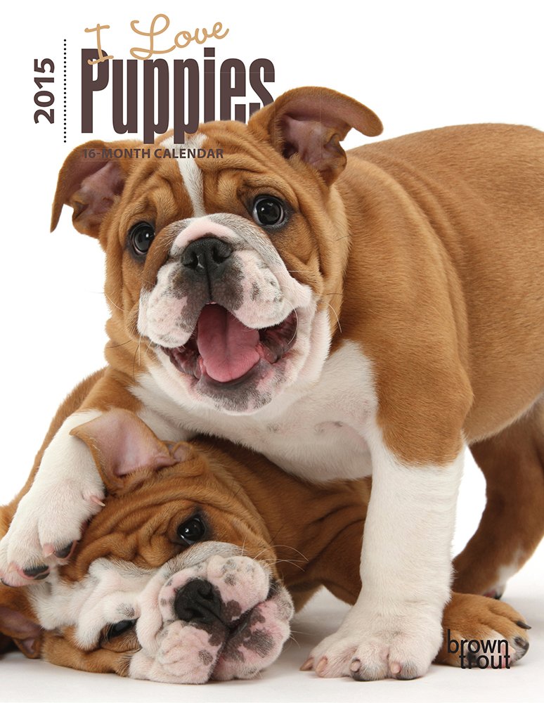 I Love Puppies 2015 Calendar Pets