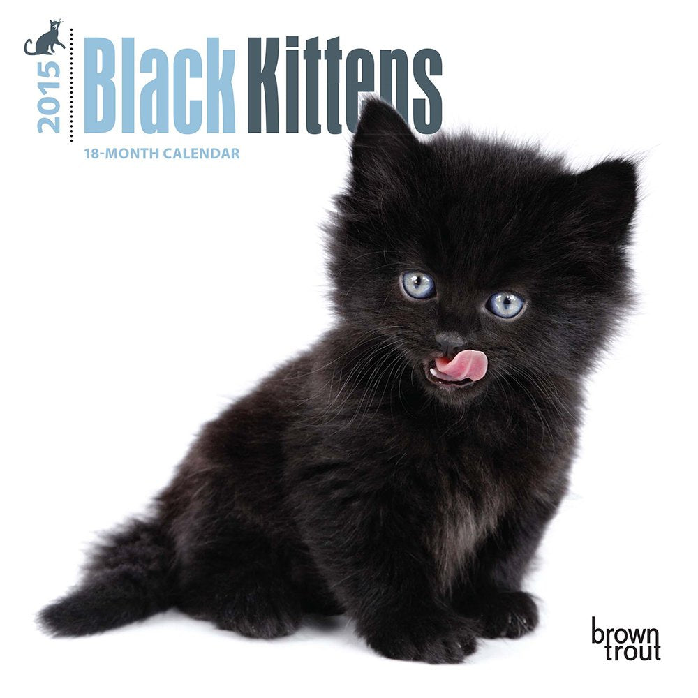 Black Kittens 18-Month 2015 Calendar Pets