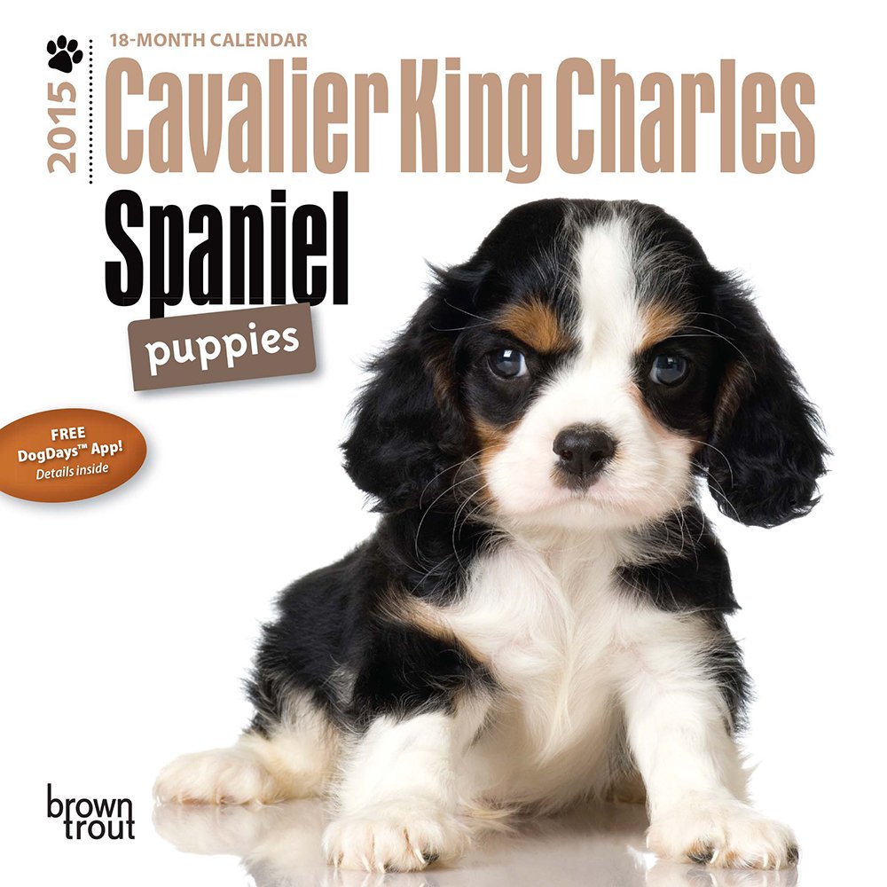 Cavalier King Charles Spaniel Puppies 18-Month 2015 Calendar Pets