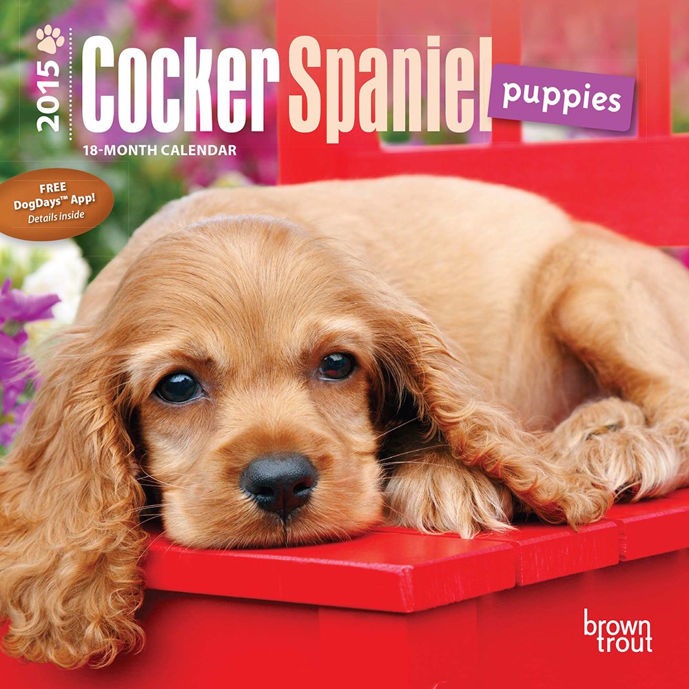 Cocker Spaniel Puppies 2015 Calendar Pets