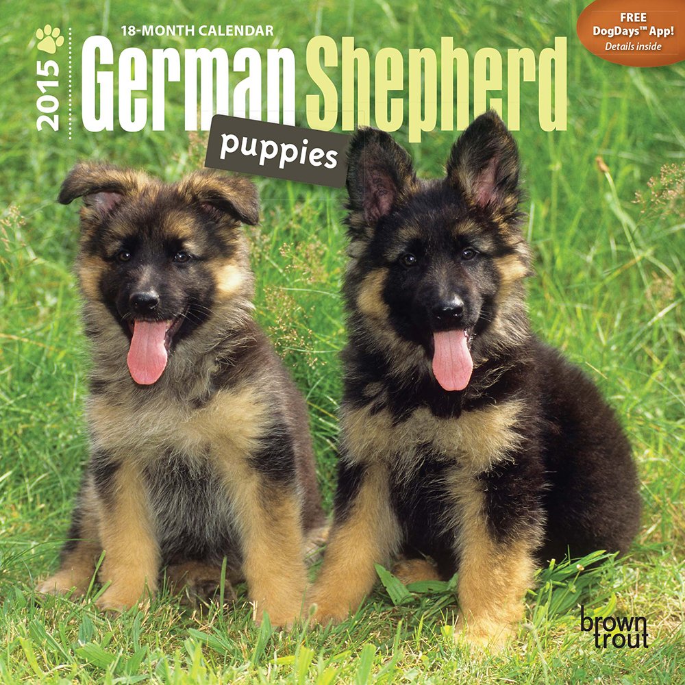 German Shepherd Puppies 18-Month 2015 Calendar Pets