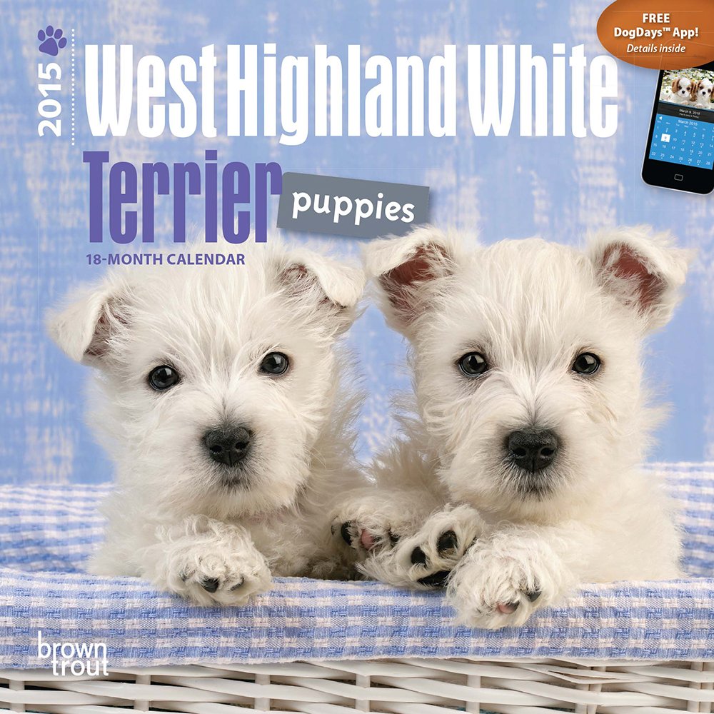 West Highland White Terrier Puppies 2015 Calendar Pets