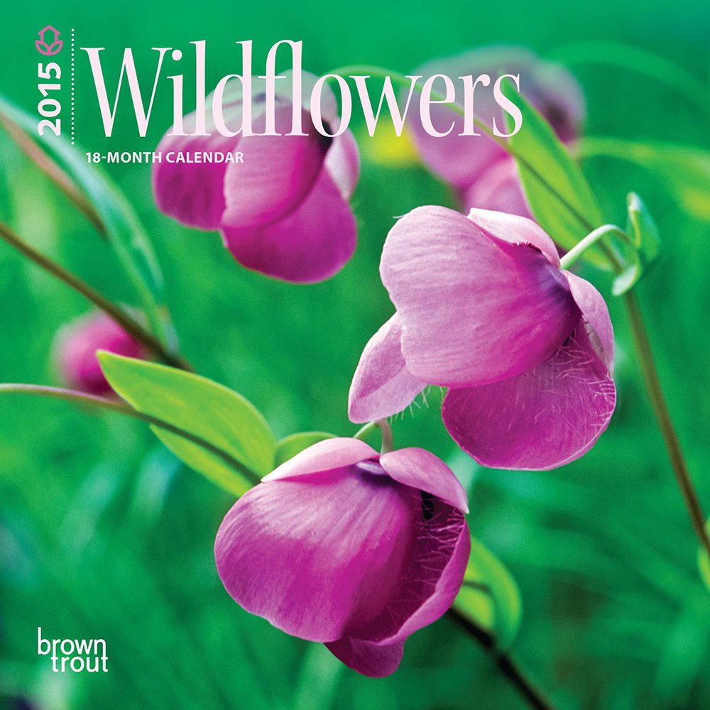 Wildflowers 2015 Calendar Books