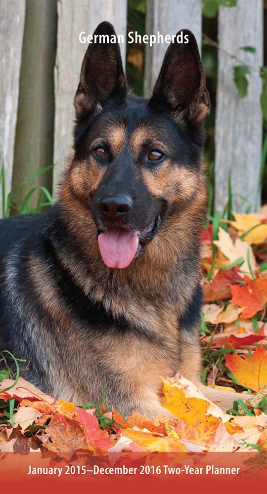 German Shepherds 2015 Pocket Planner: January 2015-december 2016 2 Year Planner Pets