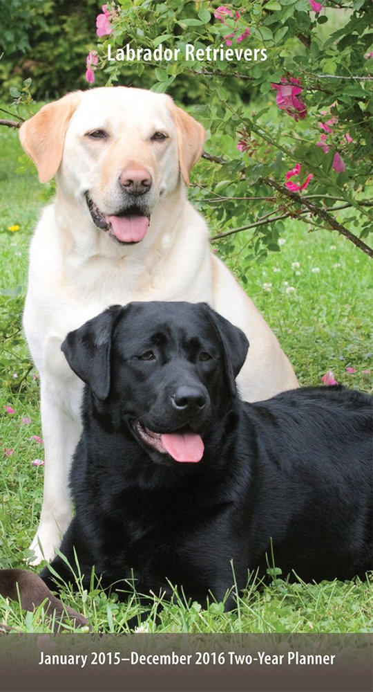 Labrador Retrievers Two-Year Planner January 2015 - December 2016 Calendar Pets