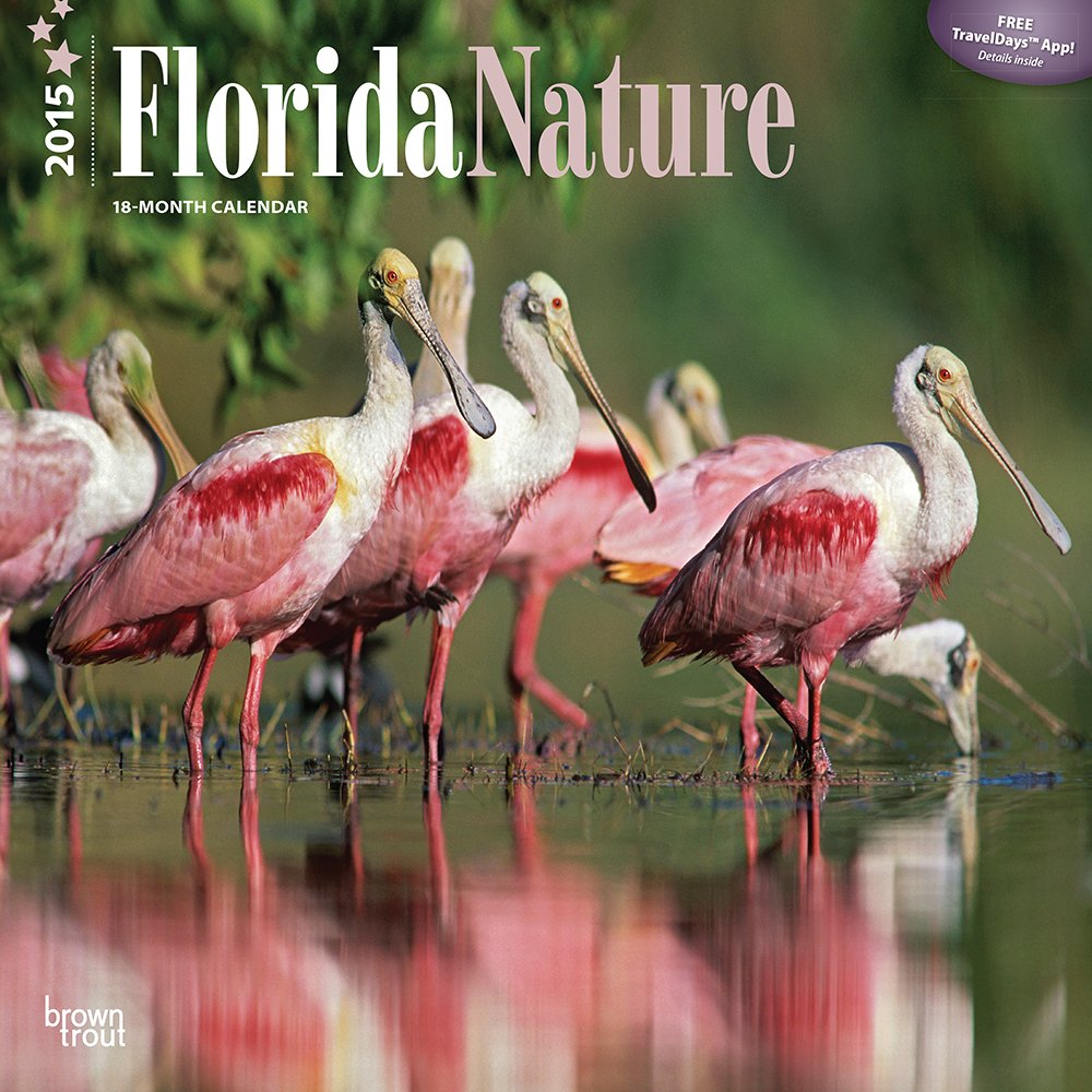 Florida Nature 2015 Calendar Travel