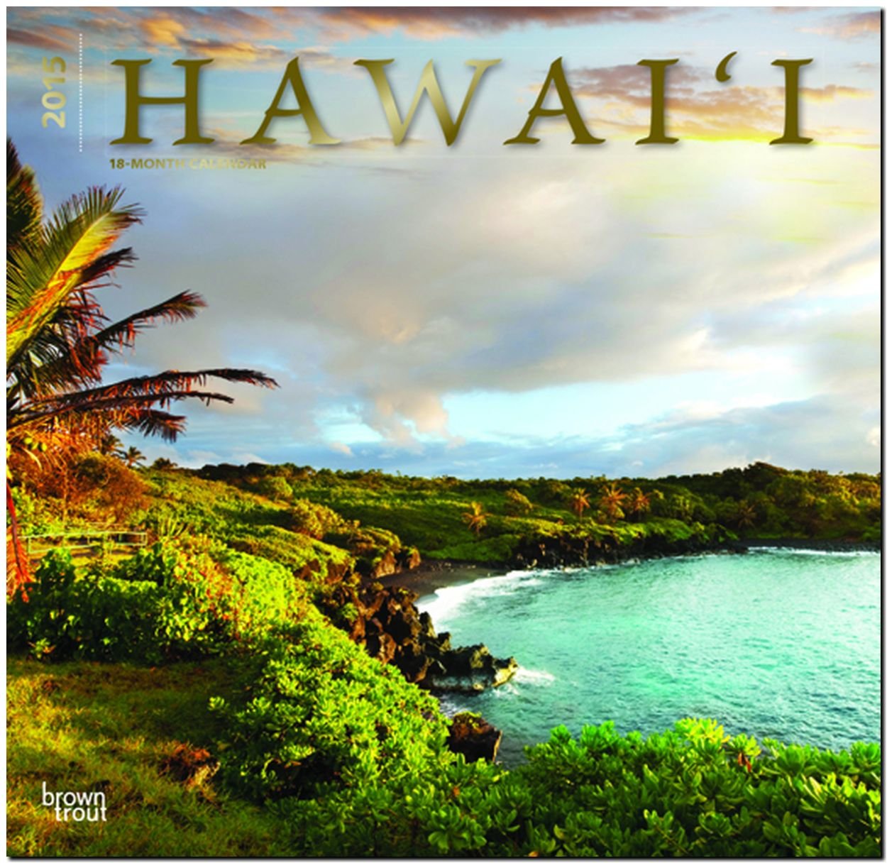 Hawaii 2015 Calendar Leisure, Home & Garden