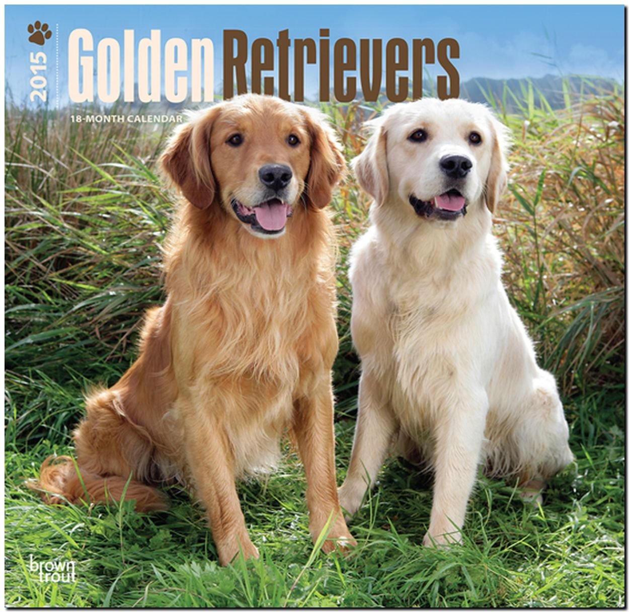 Golden Retrievers 2015: Original BrownTrout-Kalender (Wall-Kalender) Pets