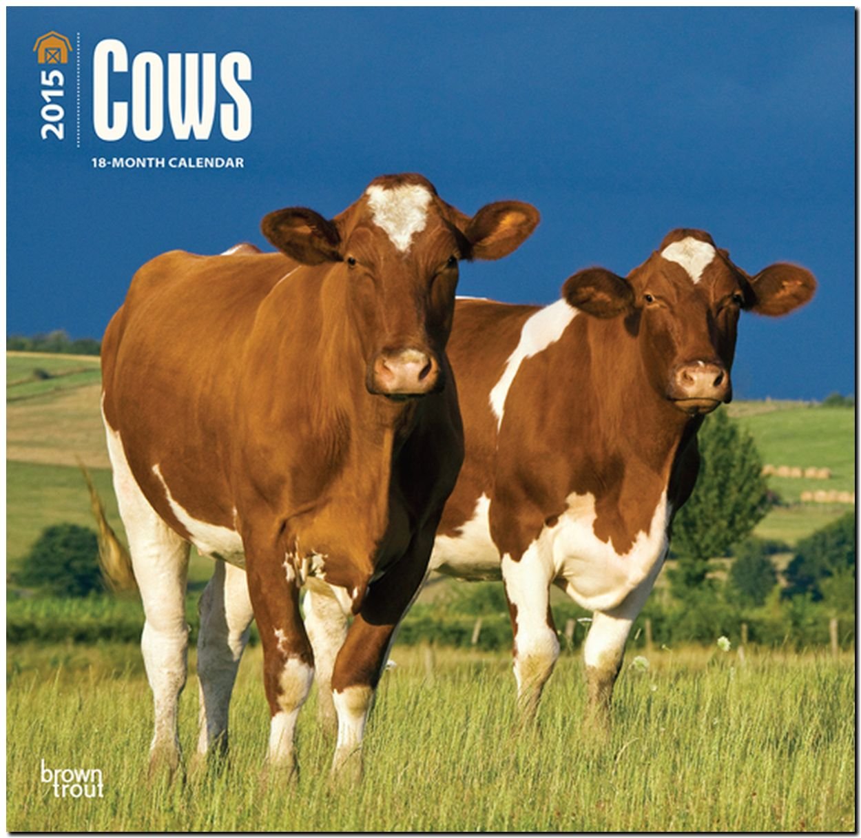 Cows 2015 - Kühe: Original BrownTrout-Kalender (Wall-Kalender) Pets