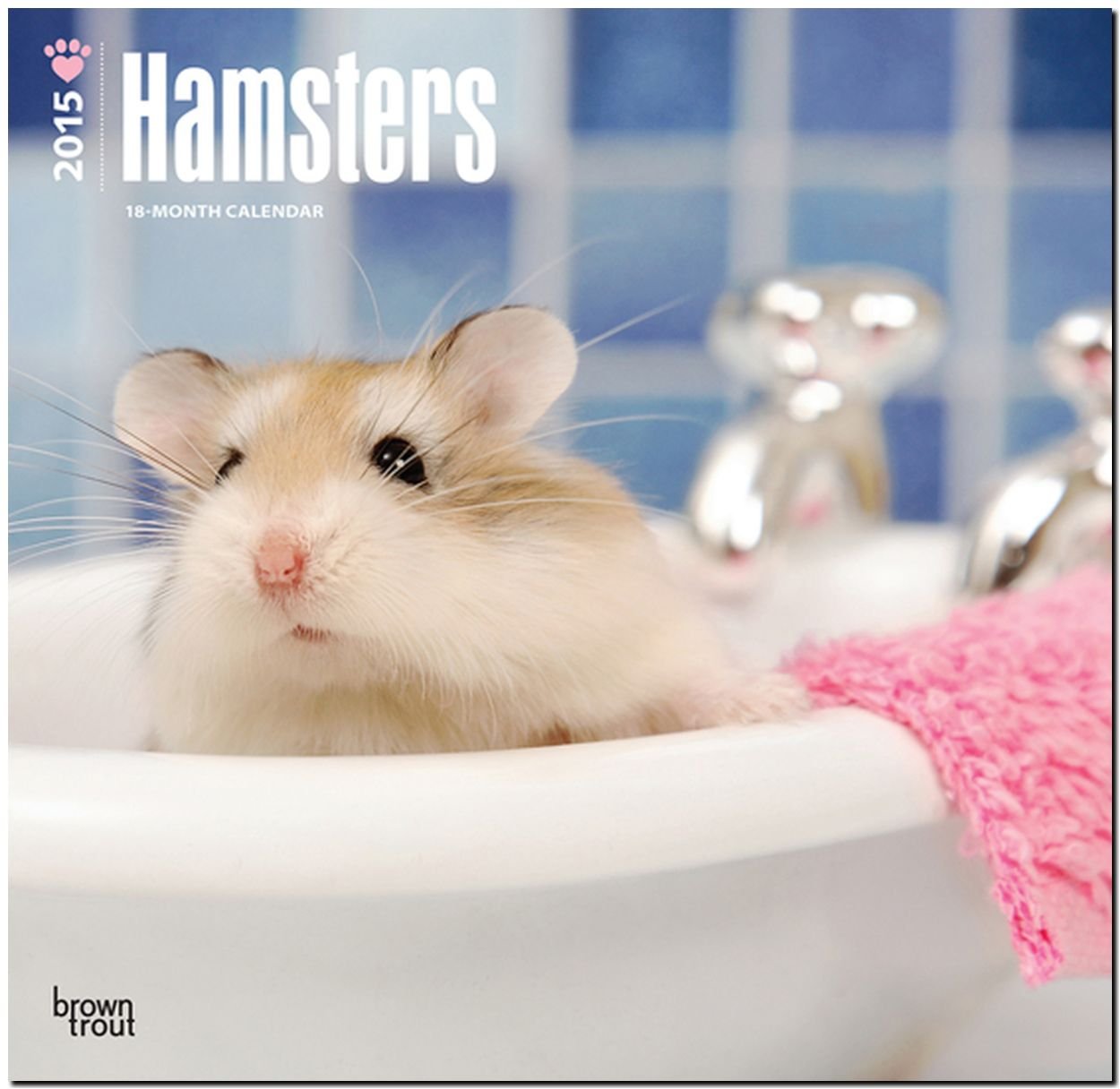 Hamsters 2015 - Hamster: Original BrownTrout-Kalender (Wall-Kalender) Pets