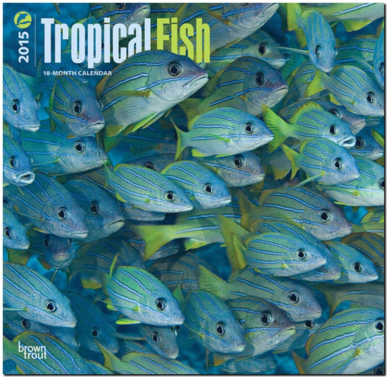 Tropical Fish 2015 - Tropische Fische: Original BrownTrout-Kalender (Wall-Kalender) Pets