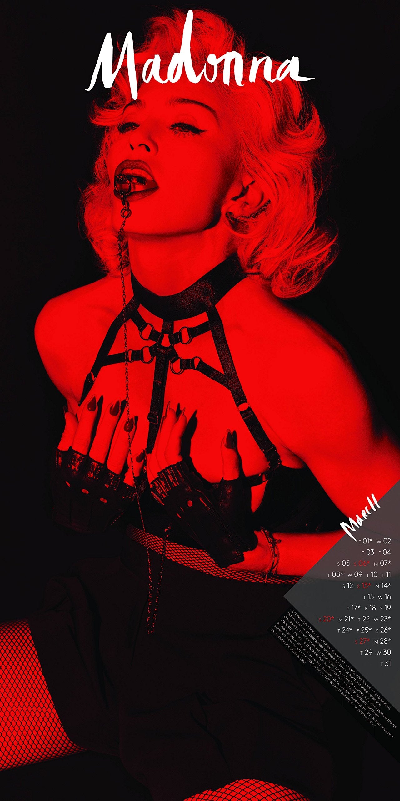Madonna 2016 - 16-Monatskalender: Original BrownTrout-Kalender (Wall-Kalender) Film, Art & Culture