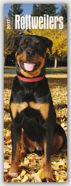 Rottweilers - Rottweiler 2017: Original BrownTrout-Kalender - Slimline (Slimline-Kalender) Pets