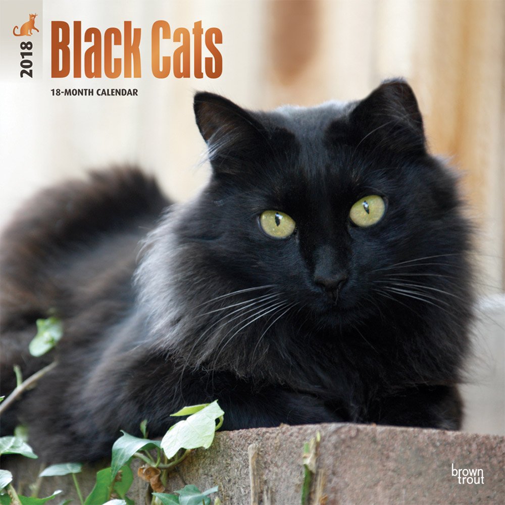 Black Cats 2018 Calendar book