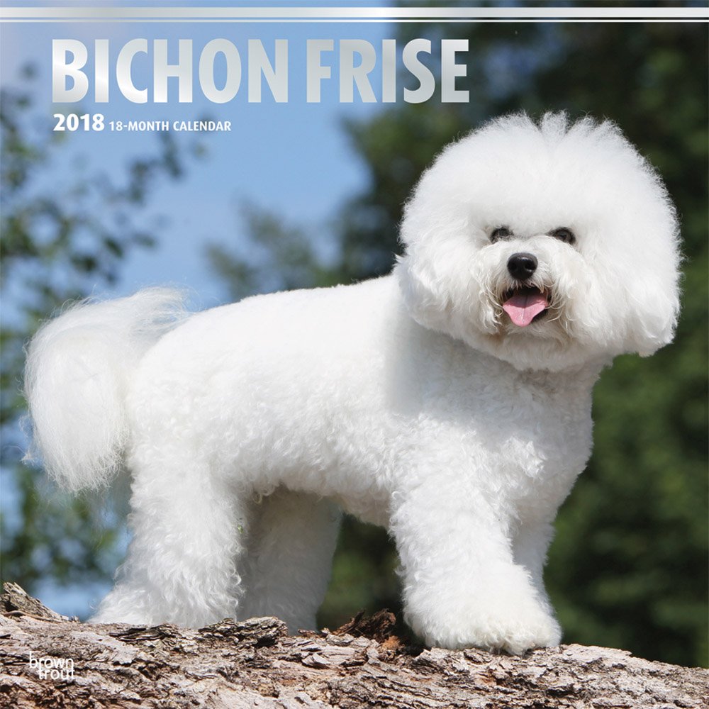 Bichon Frise 2018 Calendar book