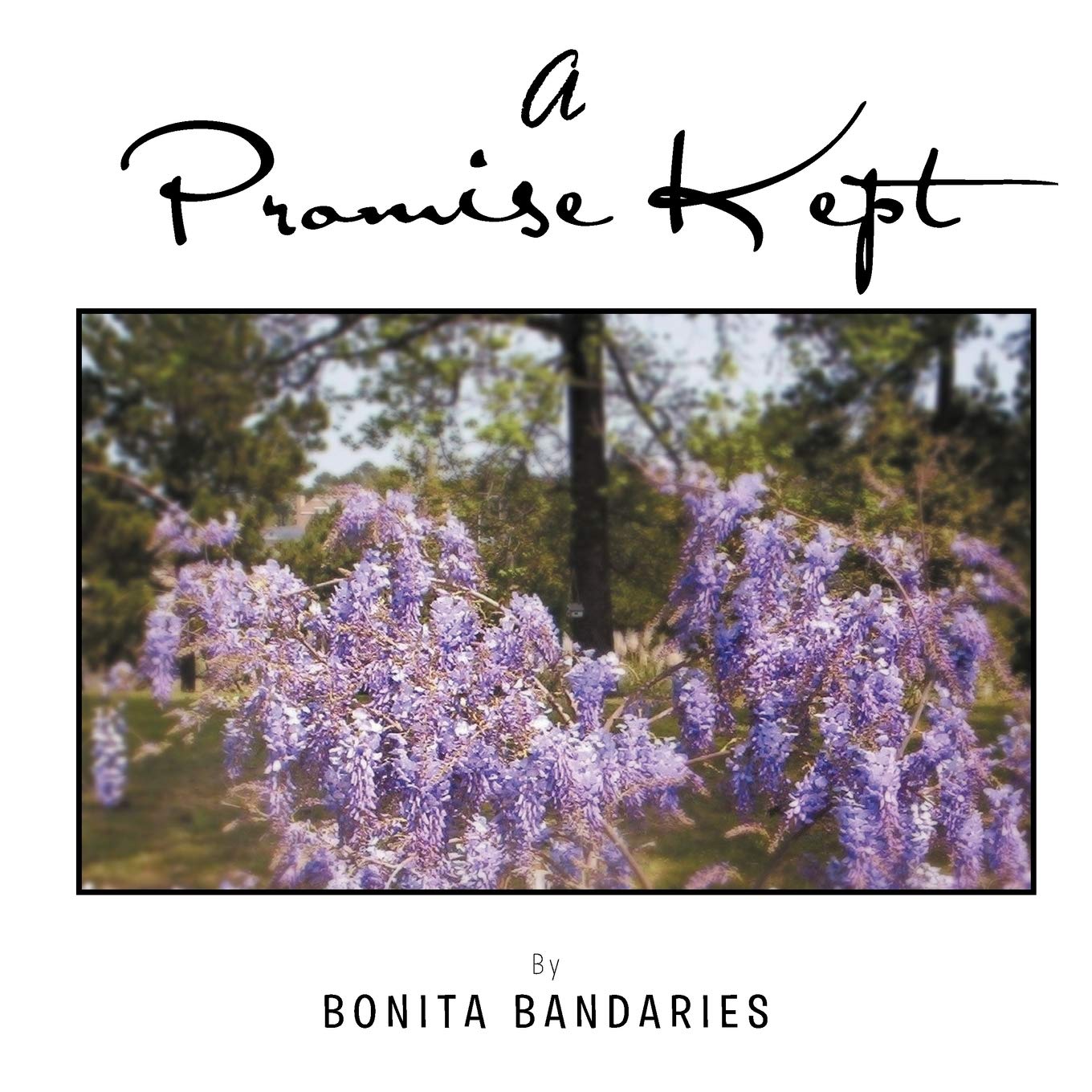 Product Image: A Promise Kept