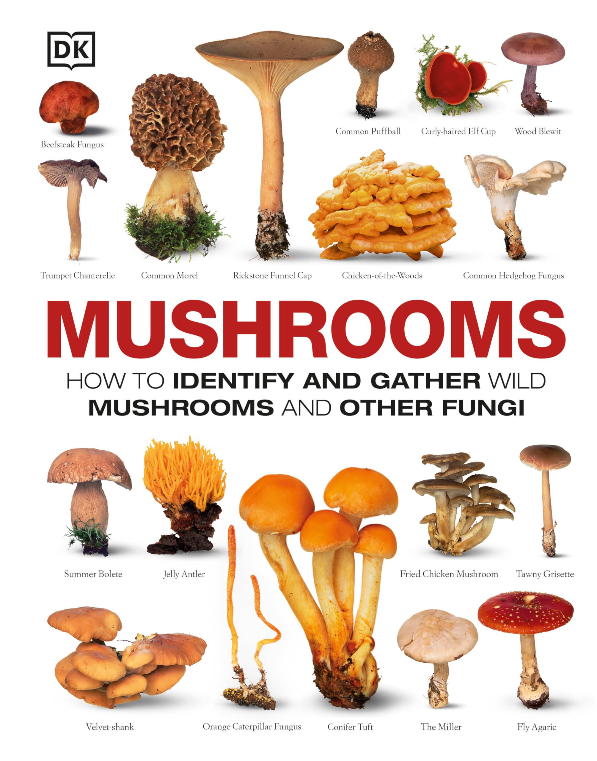 Mushrooms: How to Identify and Gather Wild Mushrooms and Other Fungi Mathematics