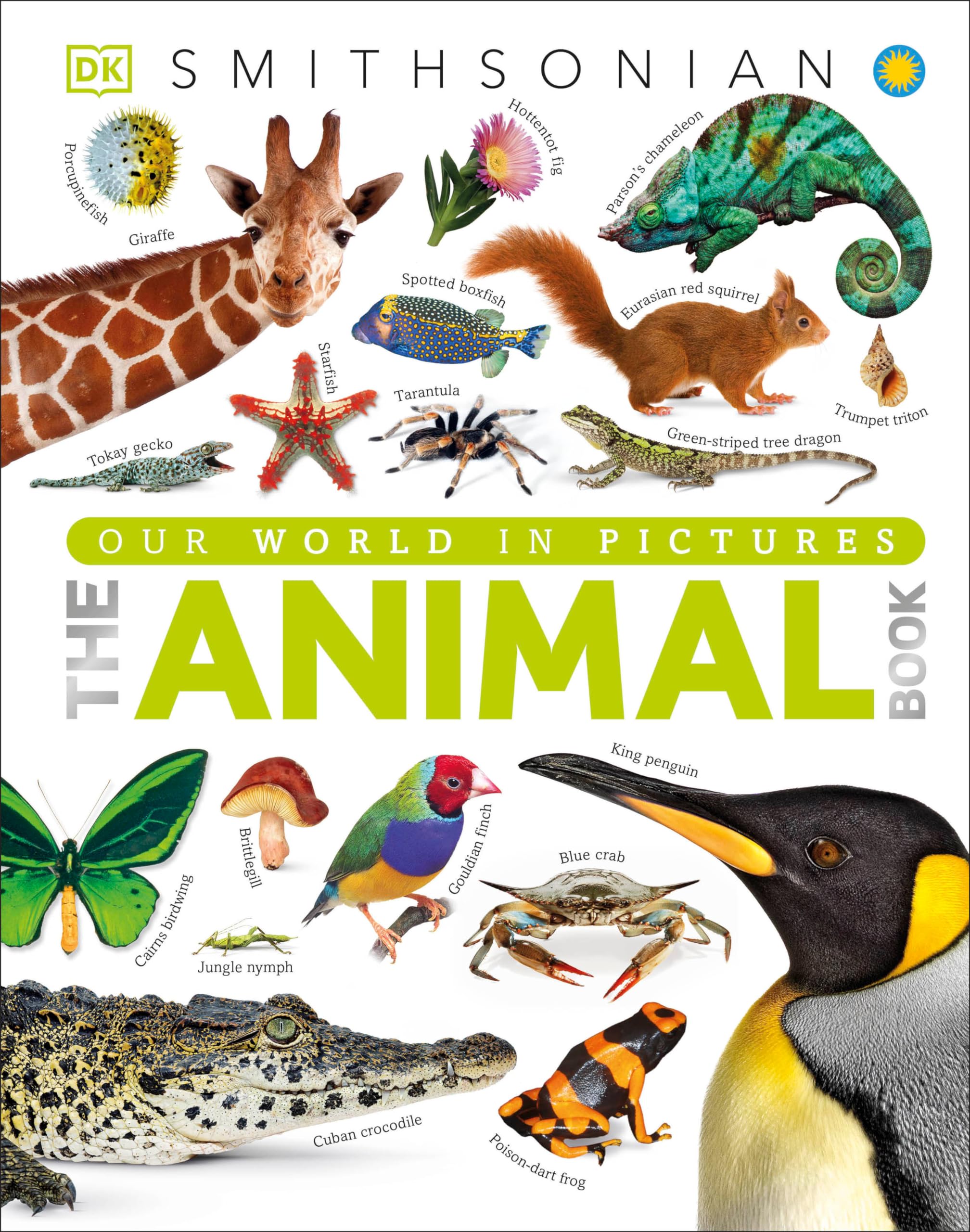Product Image: The Animal Book
