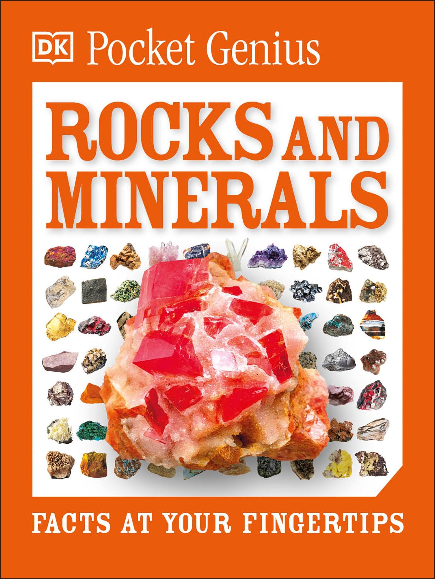 Pocket Genius: Rocks and Minerals: Facts at Your Fingertips Non-fiction