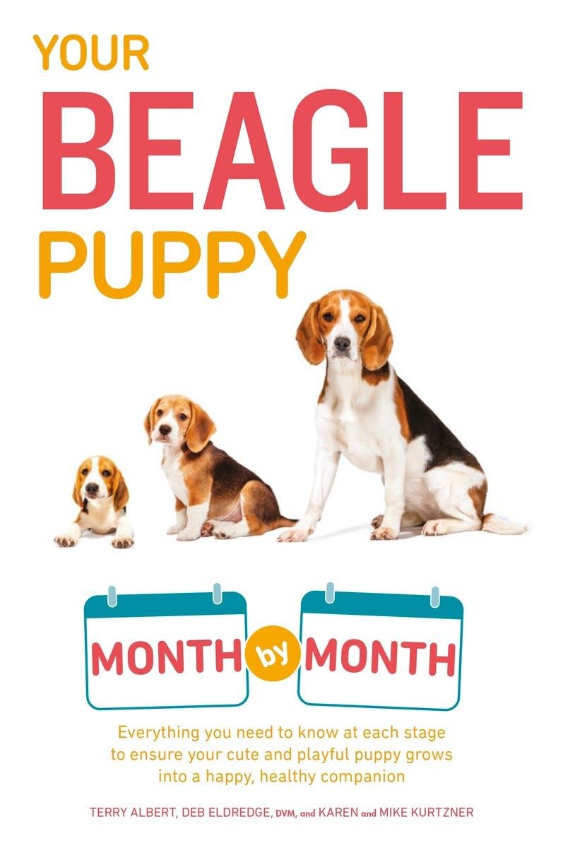 Your Beagle Puppy Month by Month: Everything You Need to Know at Each State to Ensure Your Cute and Playful Puppy Pets