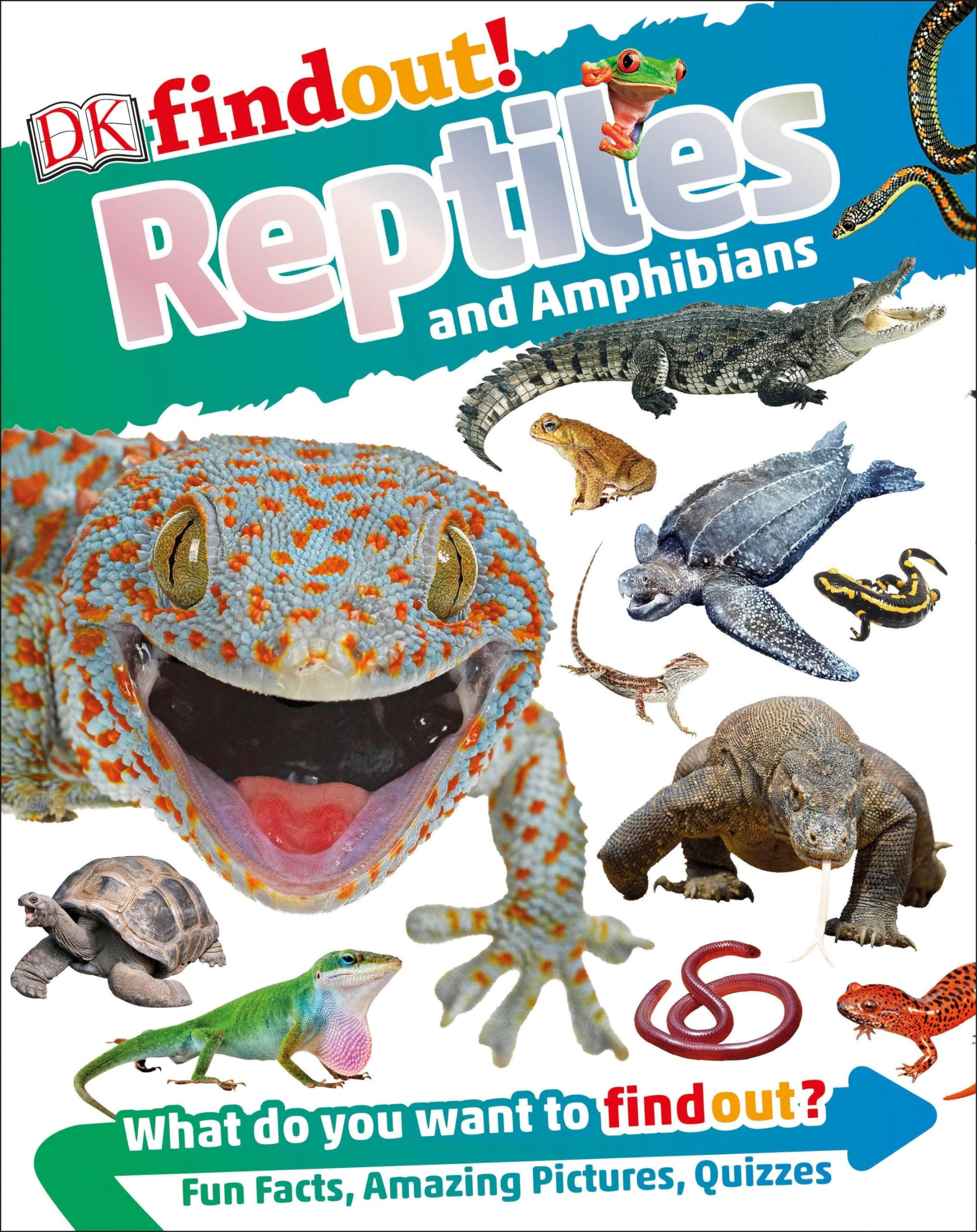 DKfindout! Reptiles and Amphibians Non-fiction