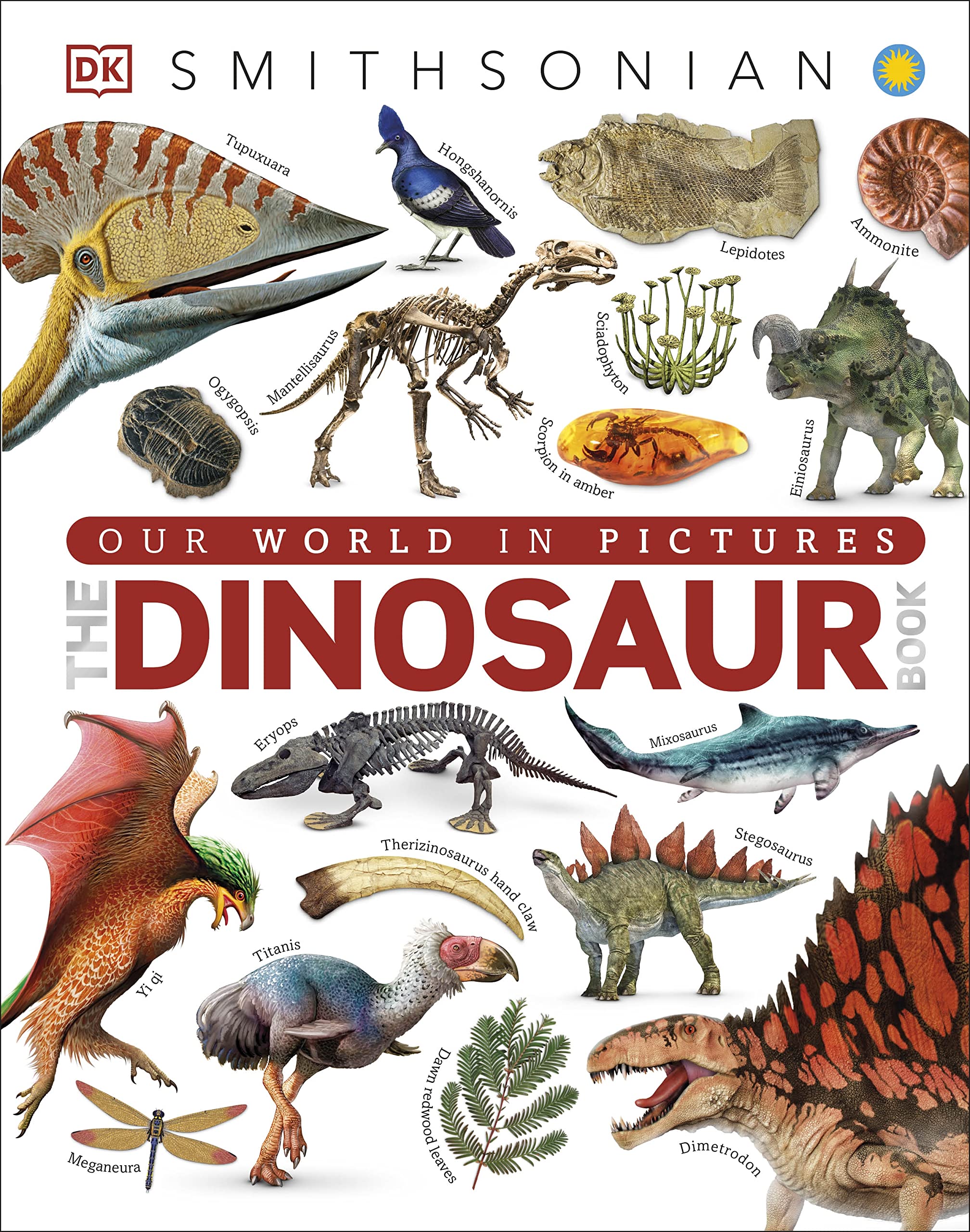 The Dinosaur Book (DK Our World in Pictures) Natural Sciences