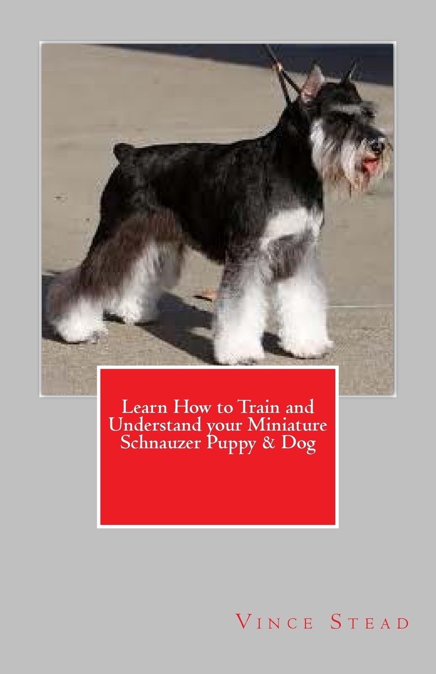 Learn How to Train and Understand your Miniature Schnauzer Puppy & Dog Pets