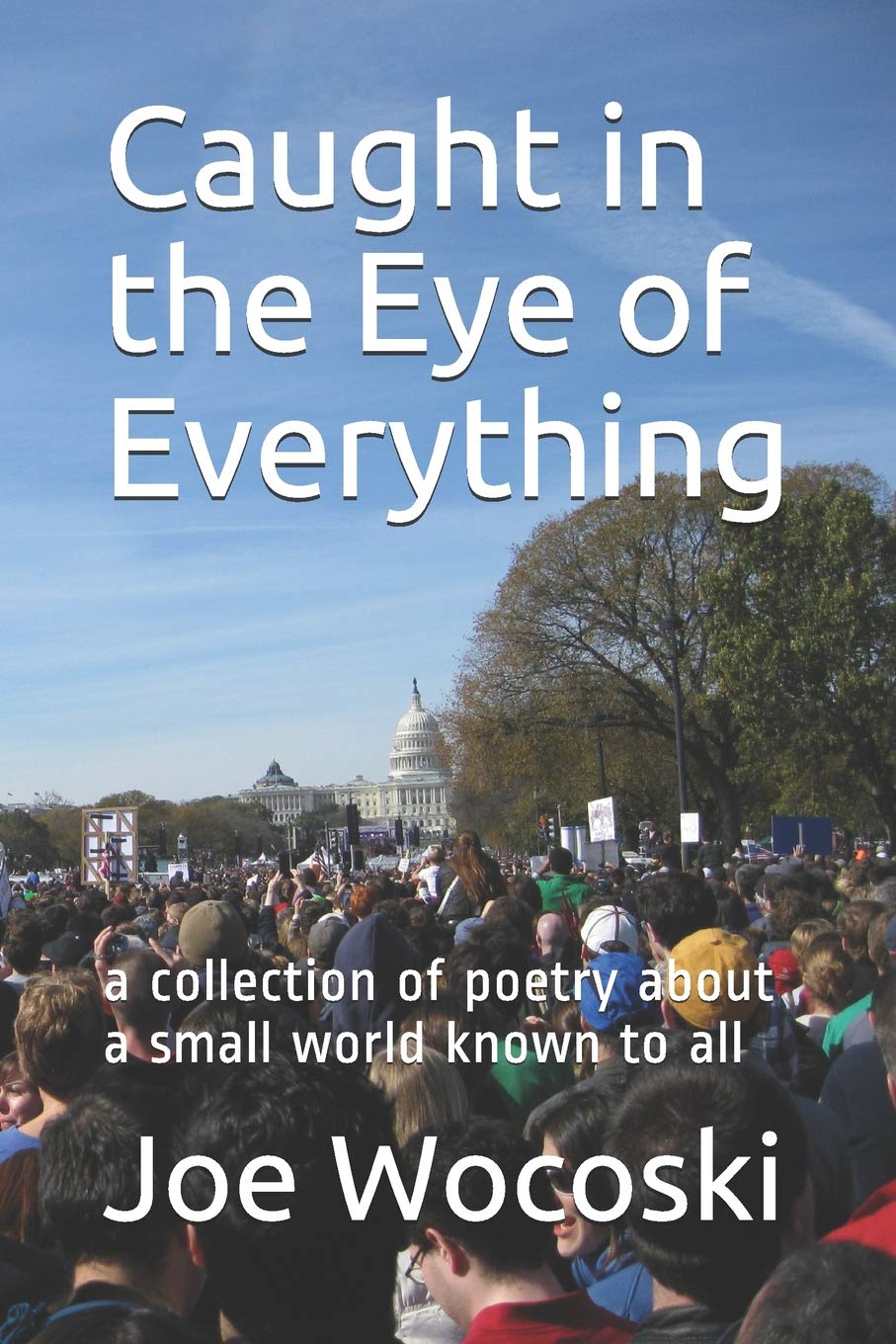 Caught in the Eye of Everything: a collection of poetry about a small world known to all Poetry