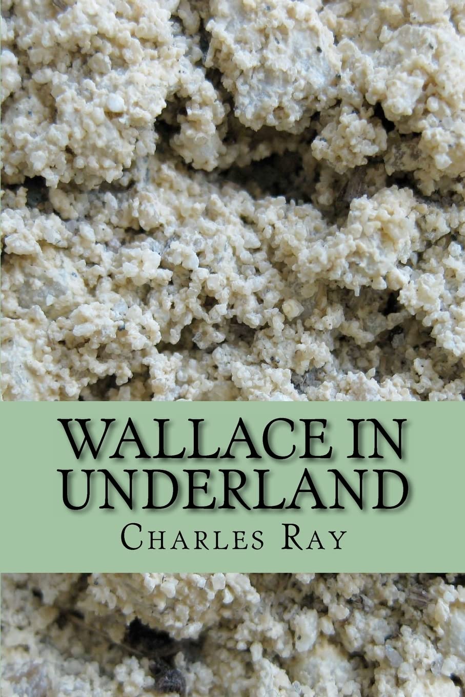 Wallace in Underland: An urban fantasy - with illustrations by the author Urban Fantasy